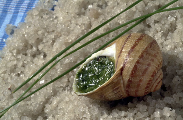 24 chairs d'escargots court-bouillonnées - C'est fait dans l'Eure